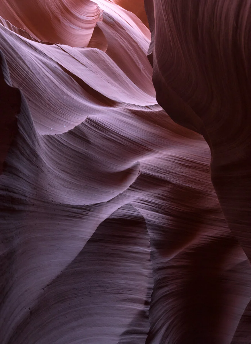 Antelope Canyon's sandstone curves glowing pink and purple in reflected light