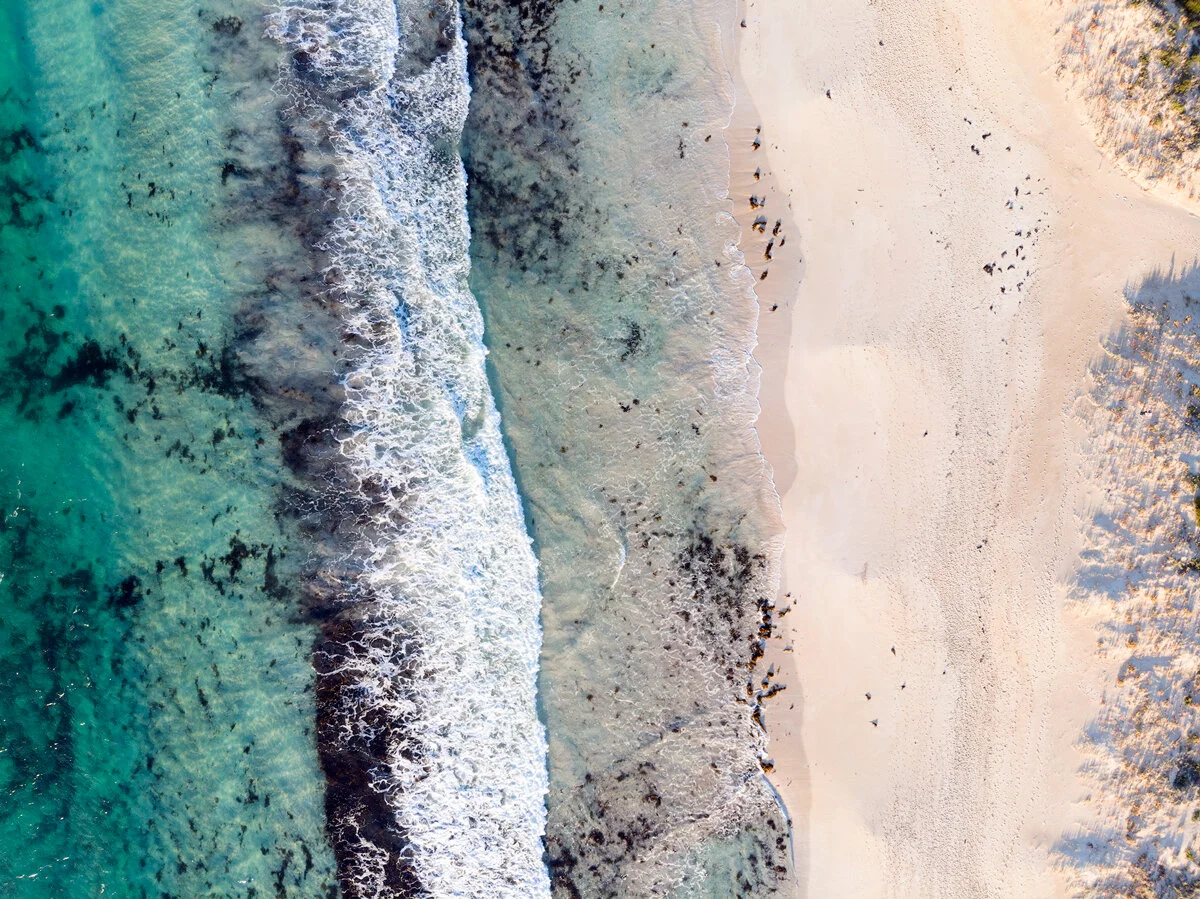 Aerial view of seaweed-streaked waves washing onto Bunker Bay's sandy shore