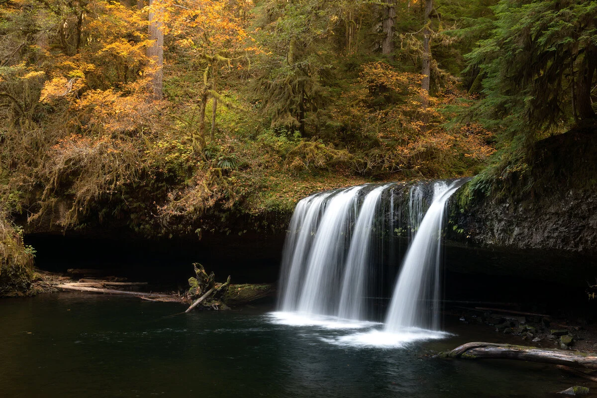 Butte Creek Falls cascading through a canopy of autumn color