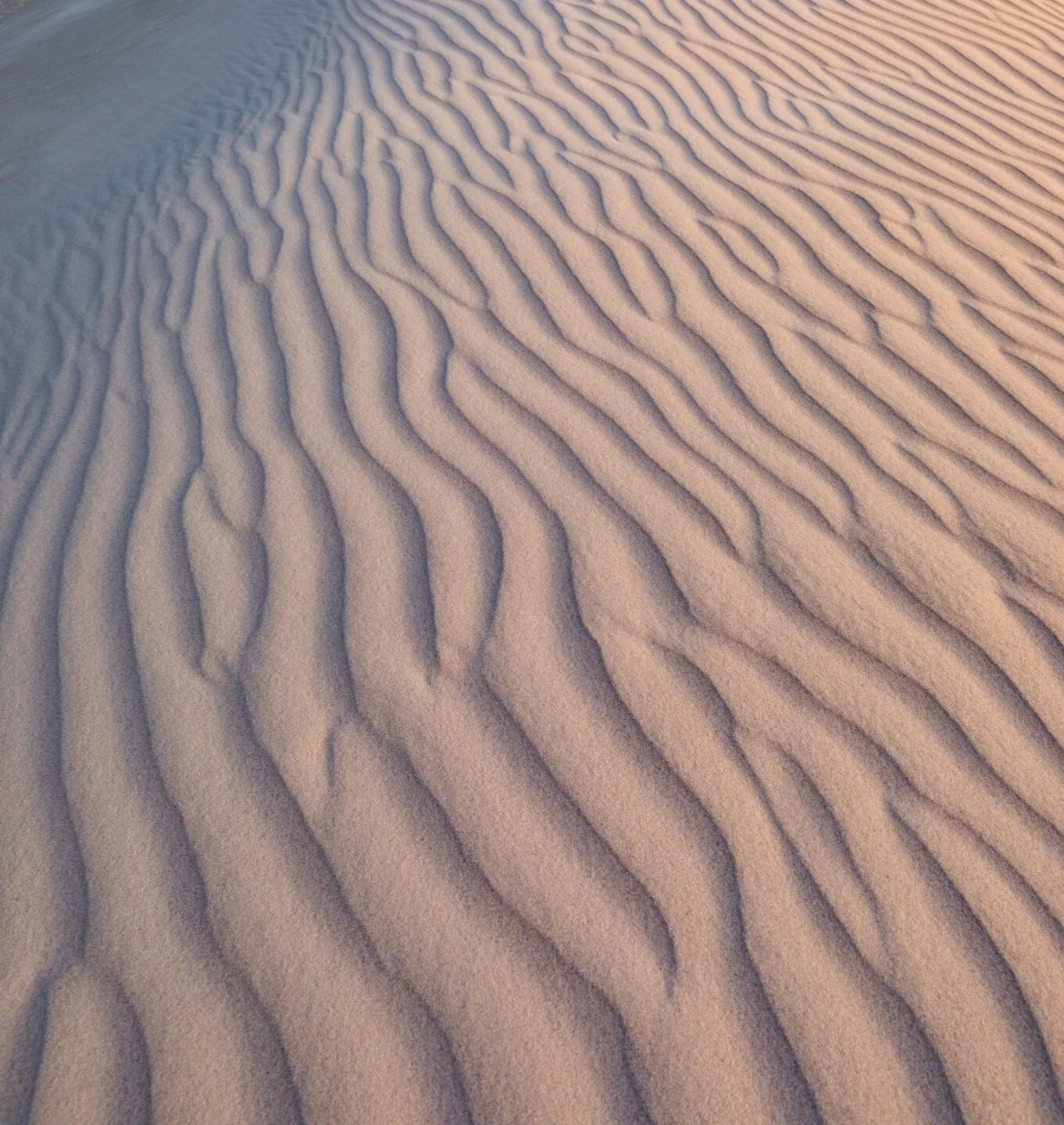 Rippled sand dune patterns near Cervantes, Western Australia