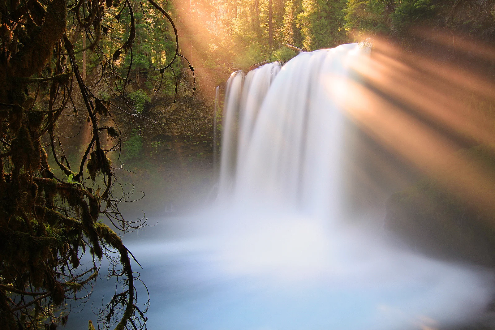Koosah Falls with golden sunlight streaming through the forest canopy