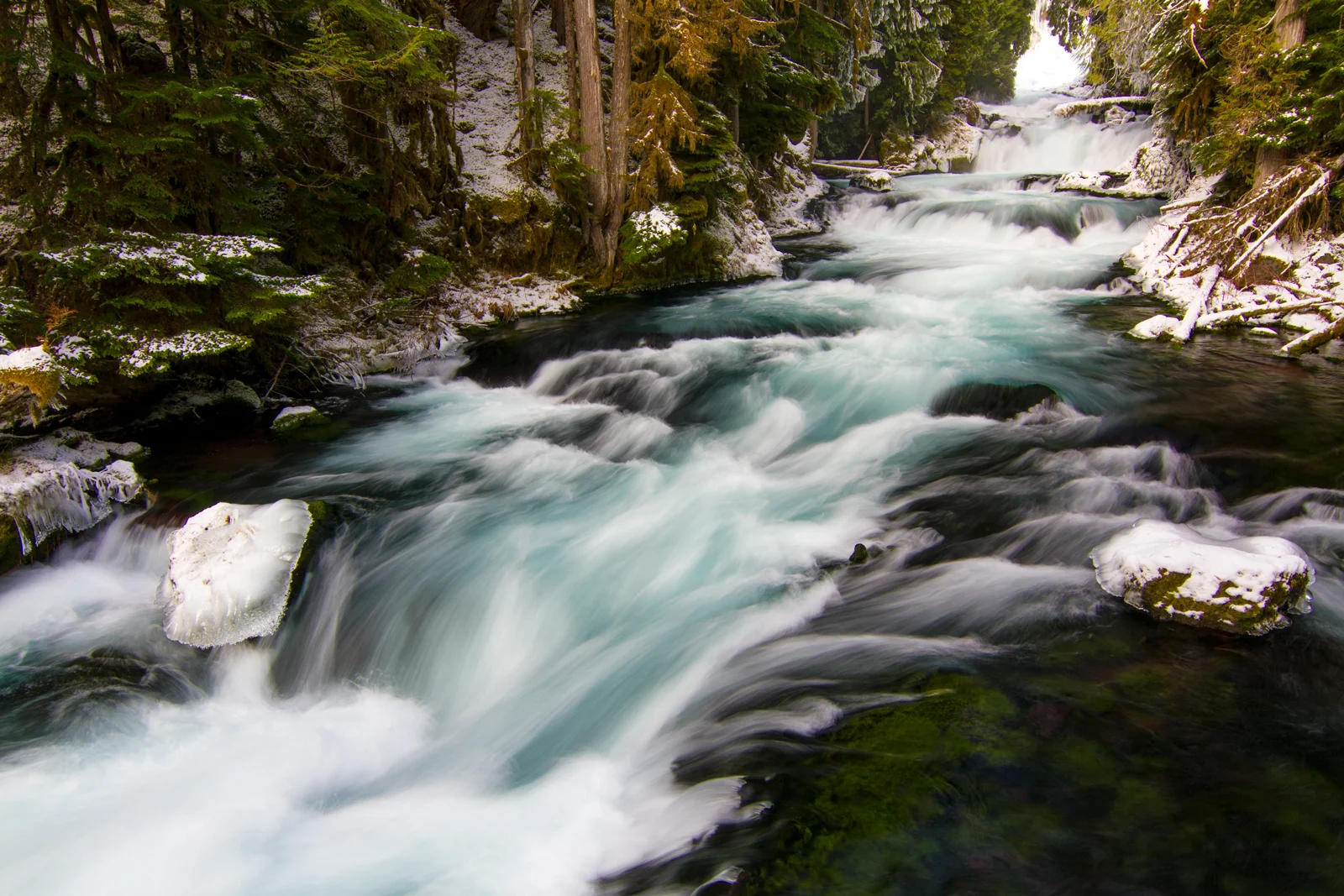 McKenzie River rushing past snow-dusted banks through an Oregon forest