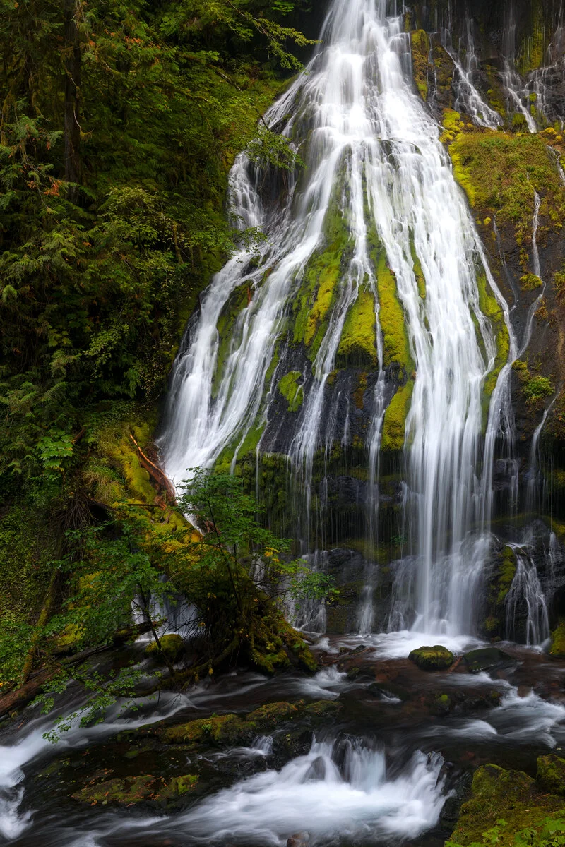 Panther Creek Falls fanning out over a moss-covered rock face