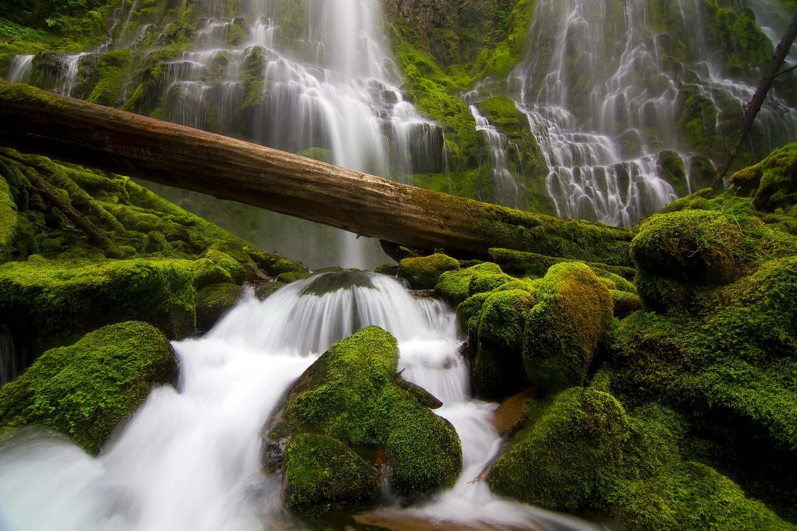 Proxy Falls cascading over moss-covered cliffs in the Oregon Cascades