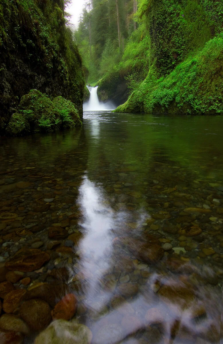 Punch Bowl Falls framed by moss-covered canyon walls in the Columbia Gorge