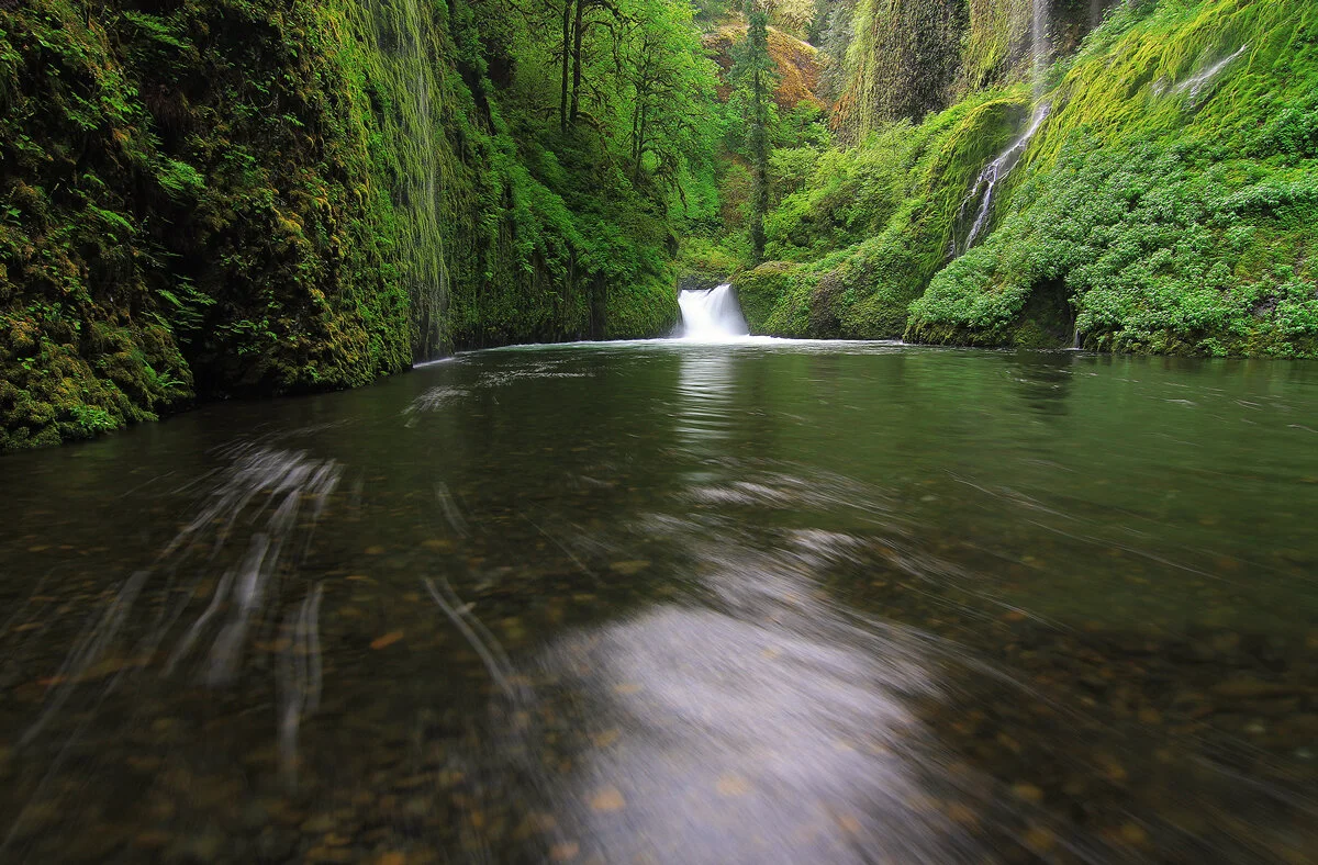 Punch Bowl Falls flowing into a lush green pool in the Columbia River Gorge