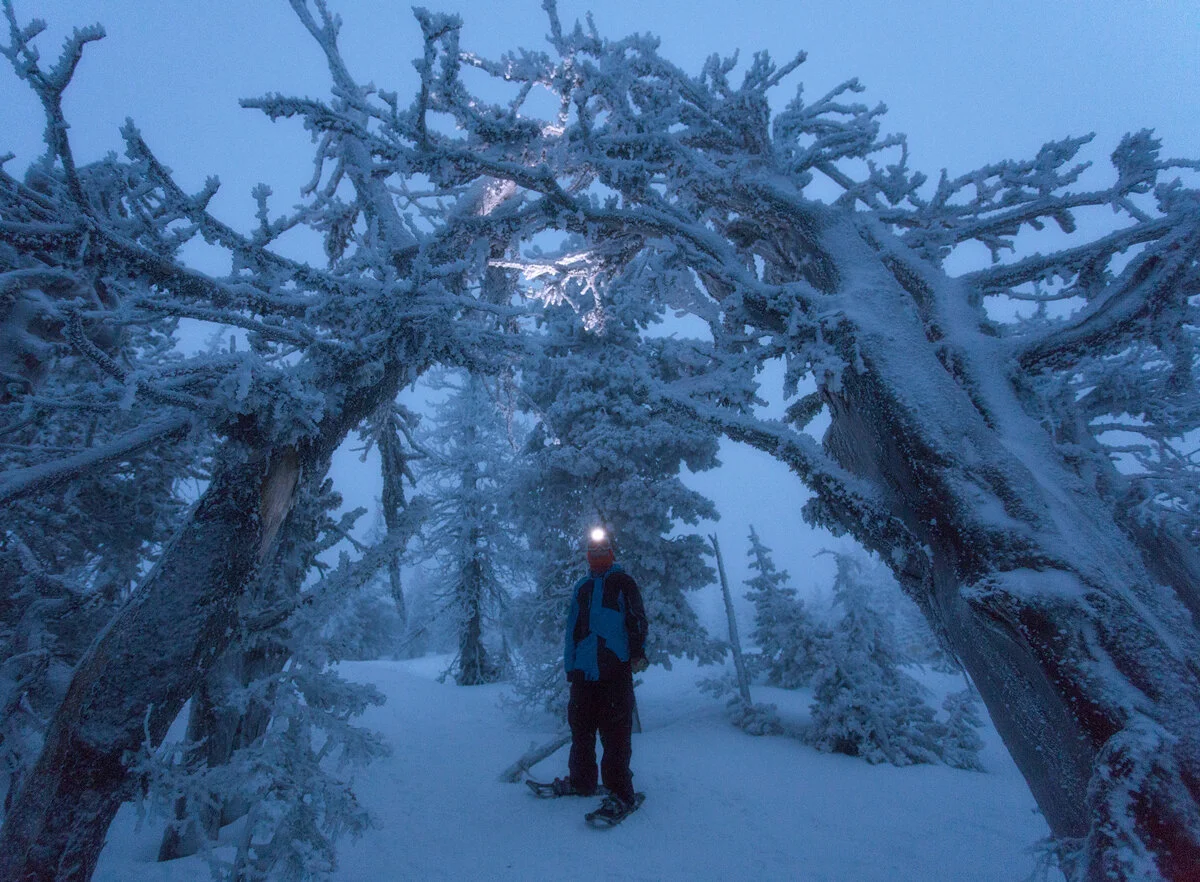 Snowshoer illuminated by headlamp beneath a frost-covered tree canopy at dusk