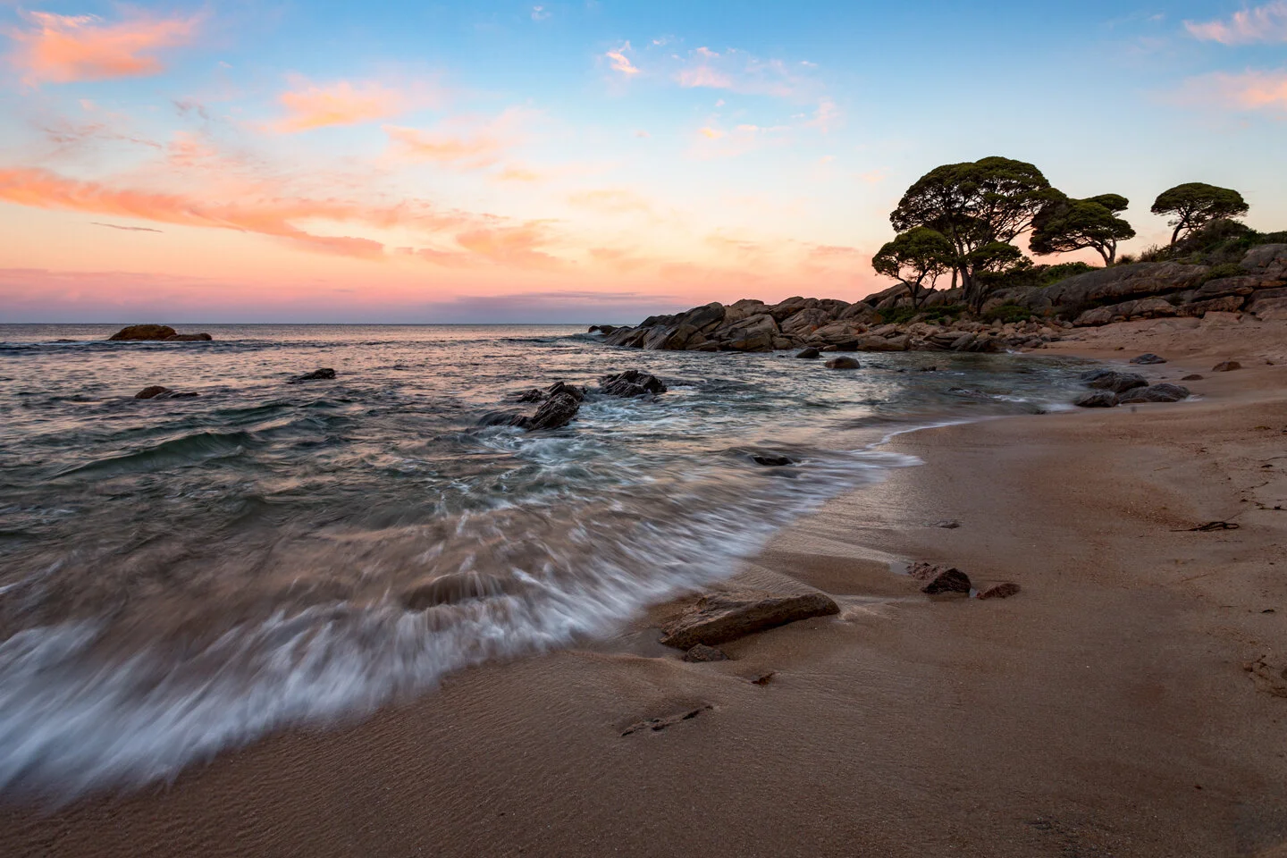 Rocky point and pine trees at Shelly Beach during sunset