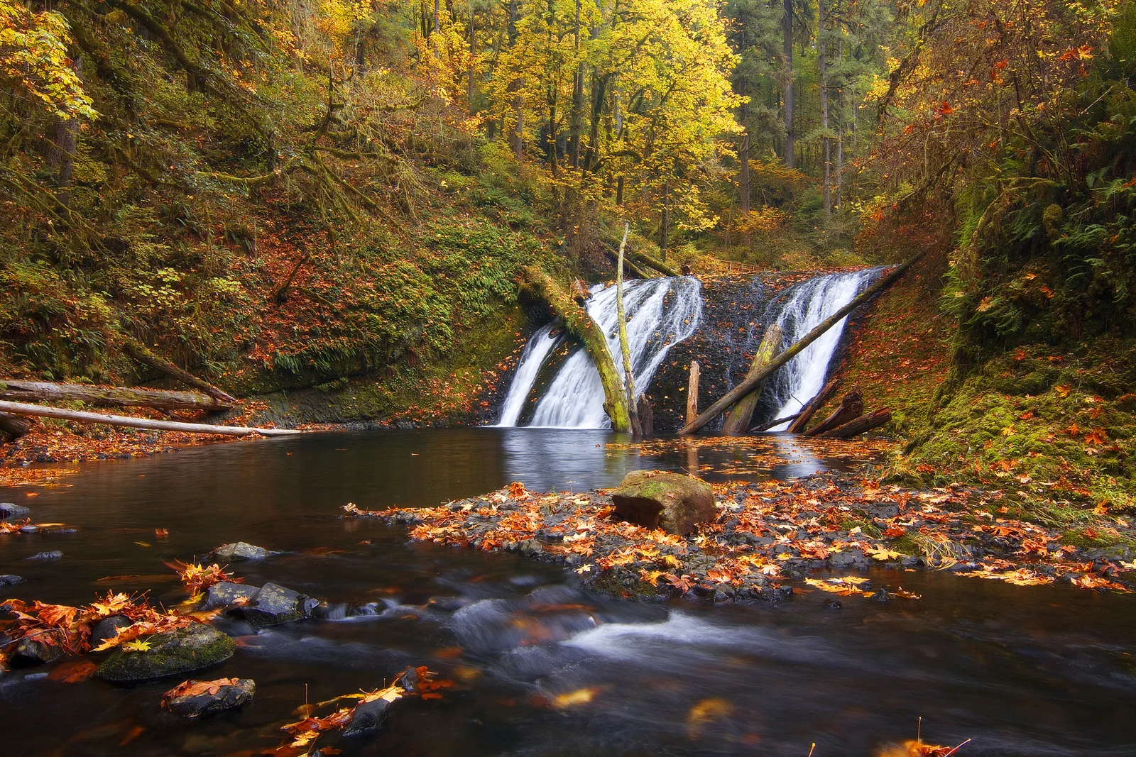 Twin cascades merging into a pool beneath golden autumn trees at Silver Falls