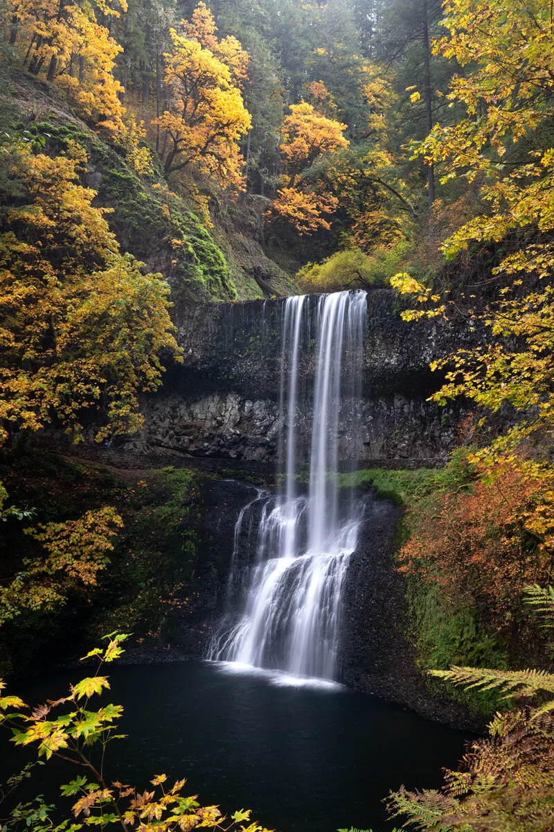 A two-tier waterfall dropping through golden autumn canopy at Silver Falls