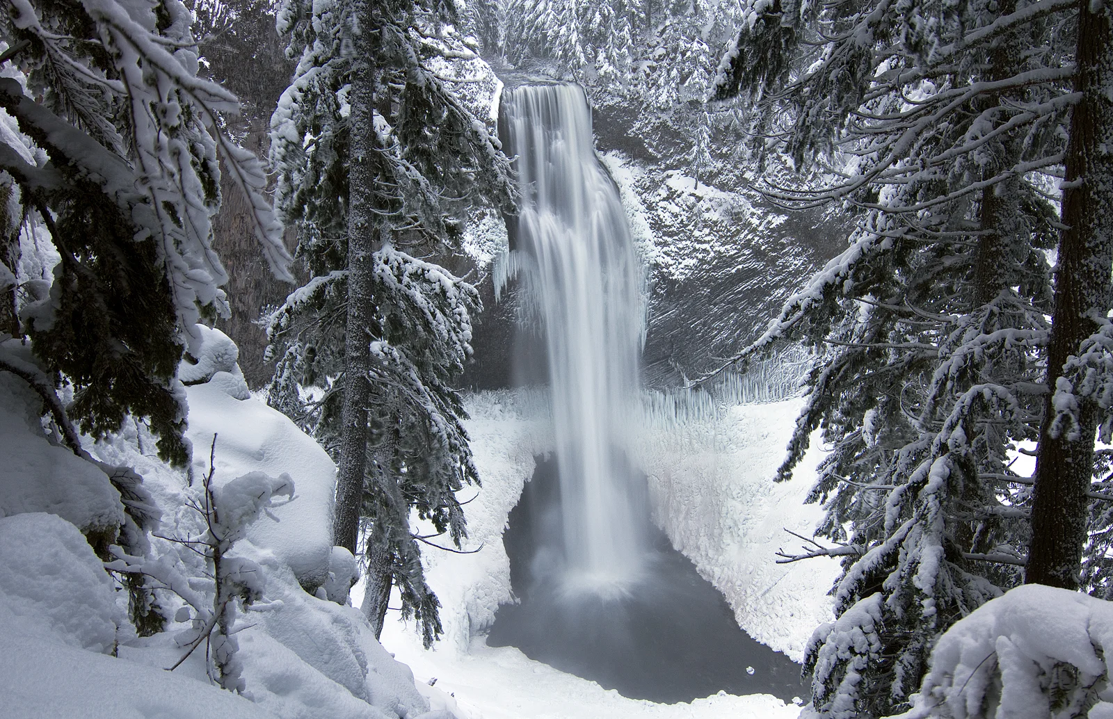 Salt Creek Falls framed by snow-laden pines in the Oregon Cascades
