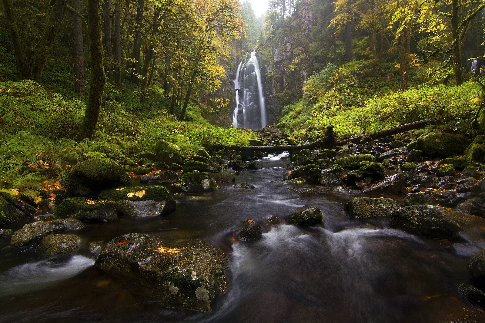 Smith Falls cascading through an autumn-colored forest gorge