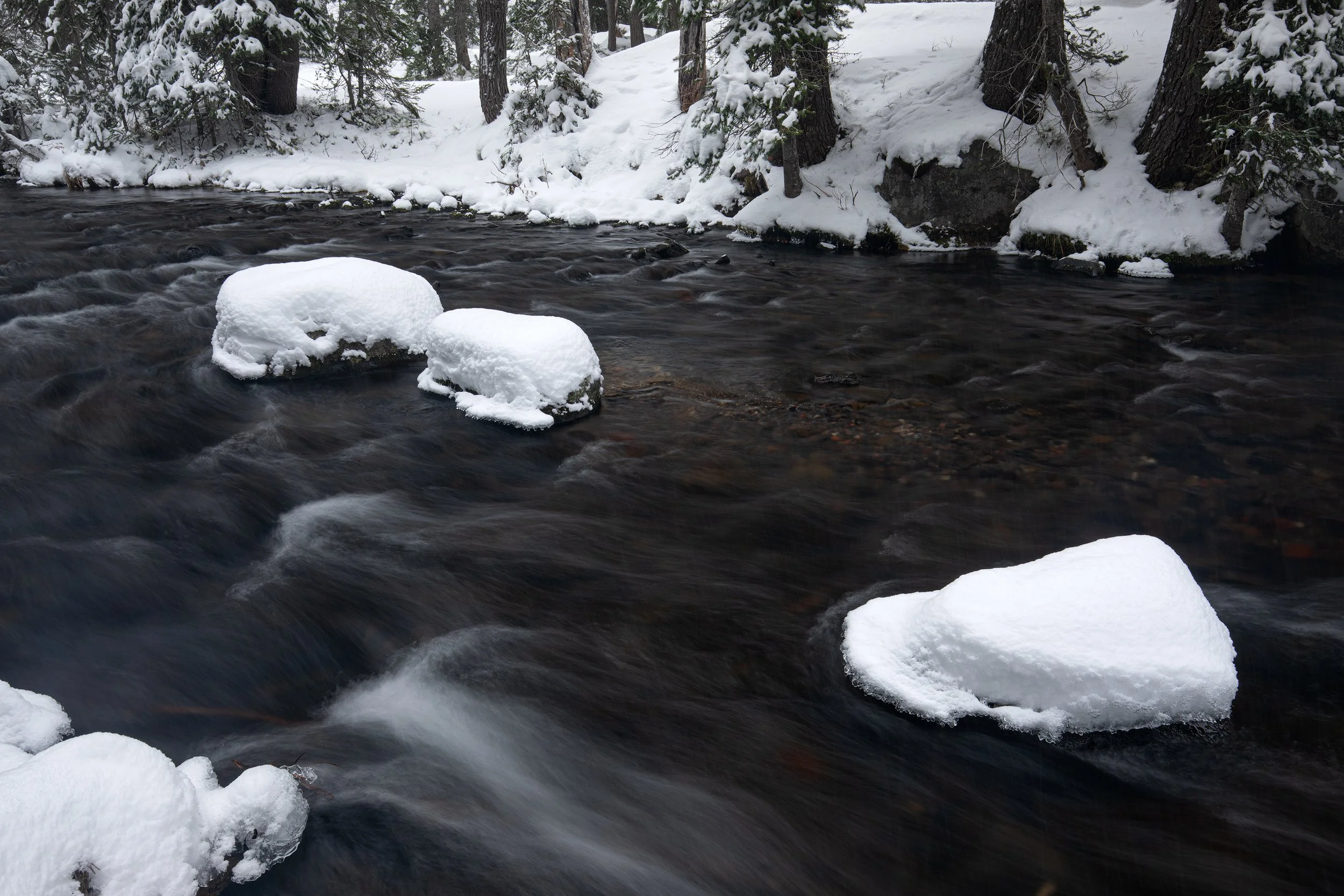 Snow-capped boulders in a rushing winter stream