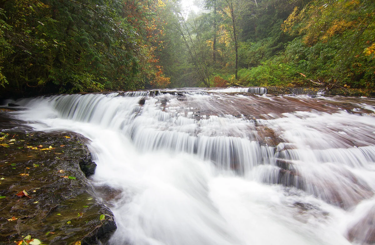 Sweet Creek's wide cascade flowing through a misty autumn forest