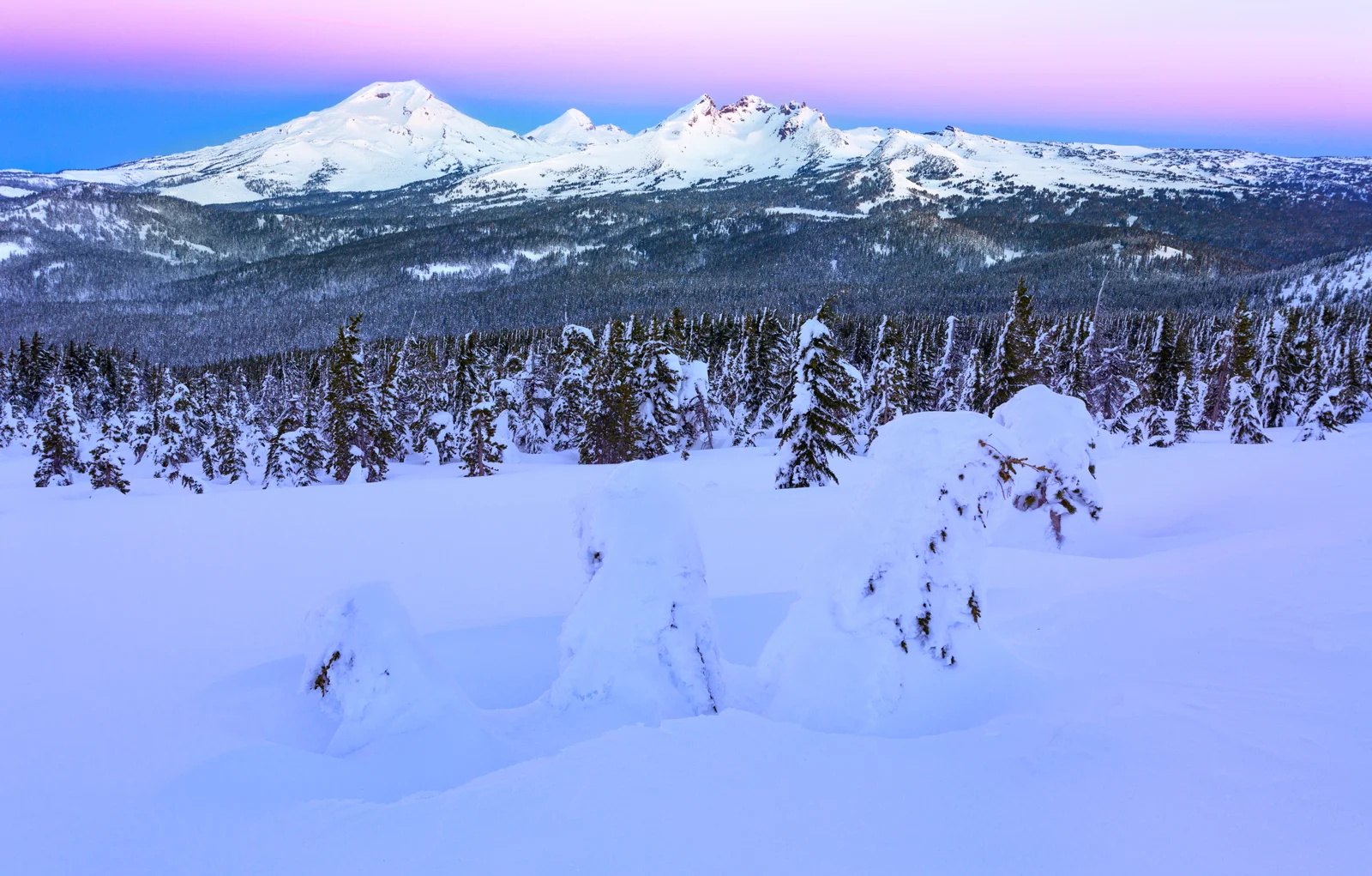 The Three Sisters glowing pink at dusk above a snow-covered forest