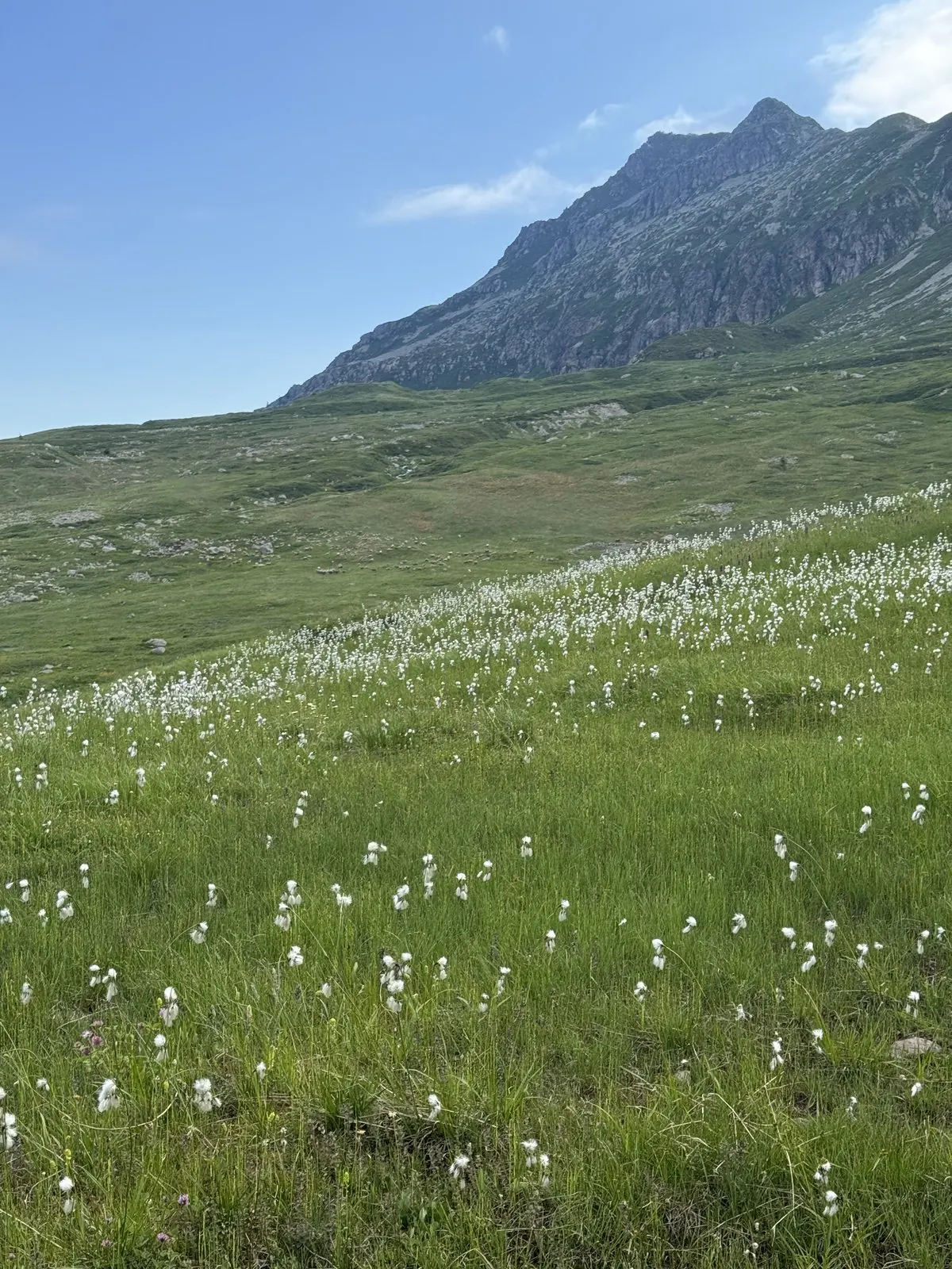 Day 2: Les Contamines to Les Chapieux -- photo 8