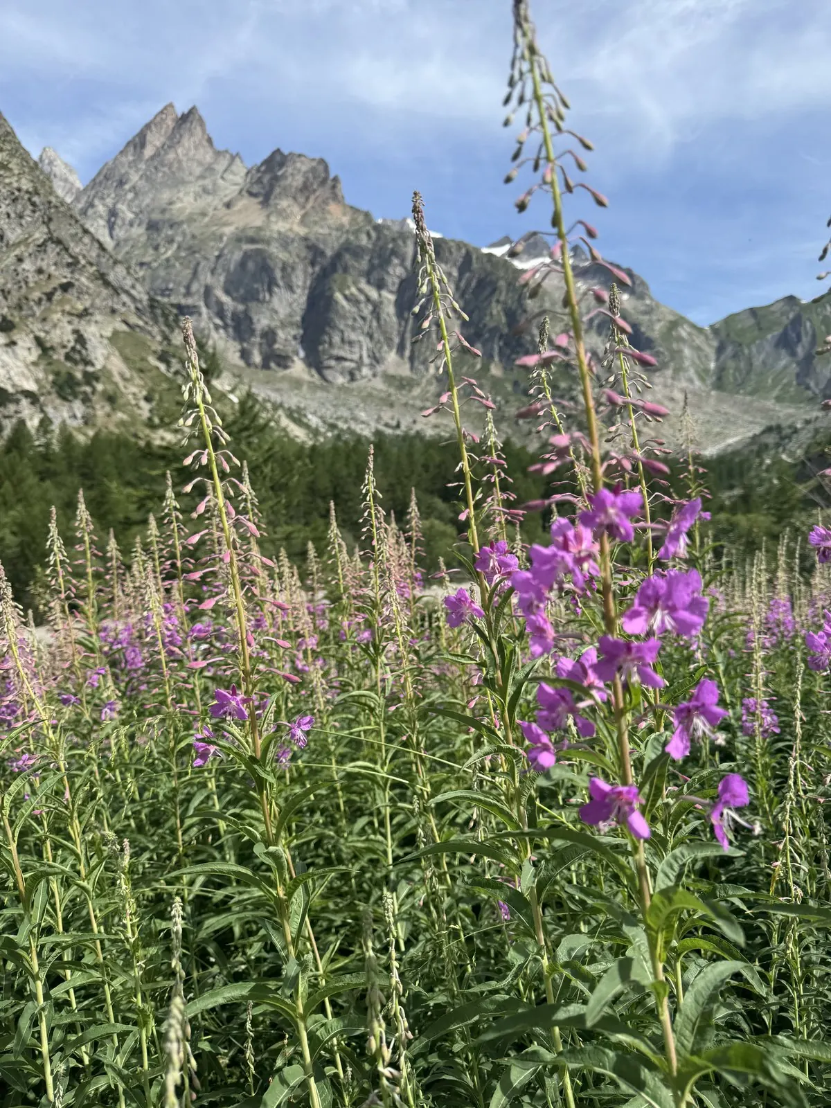 Day 4: Courmayeur to La Fouly -- photo 13