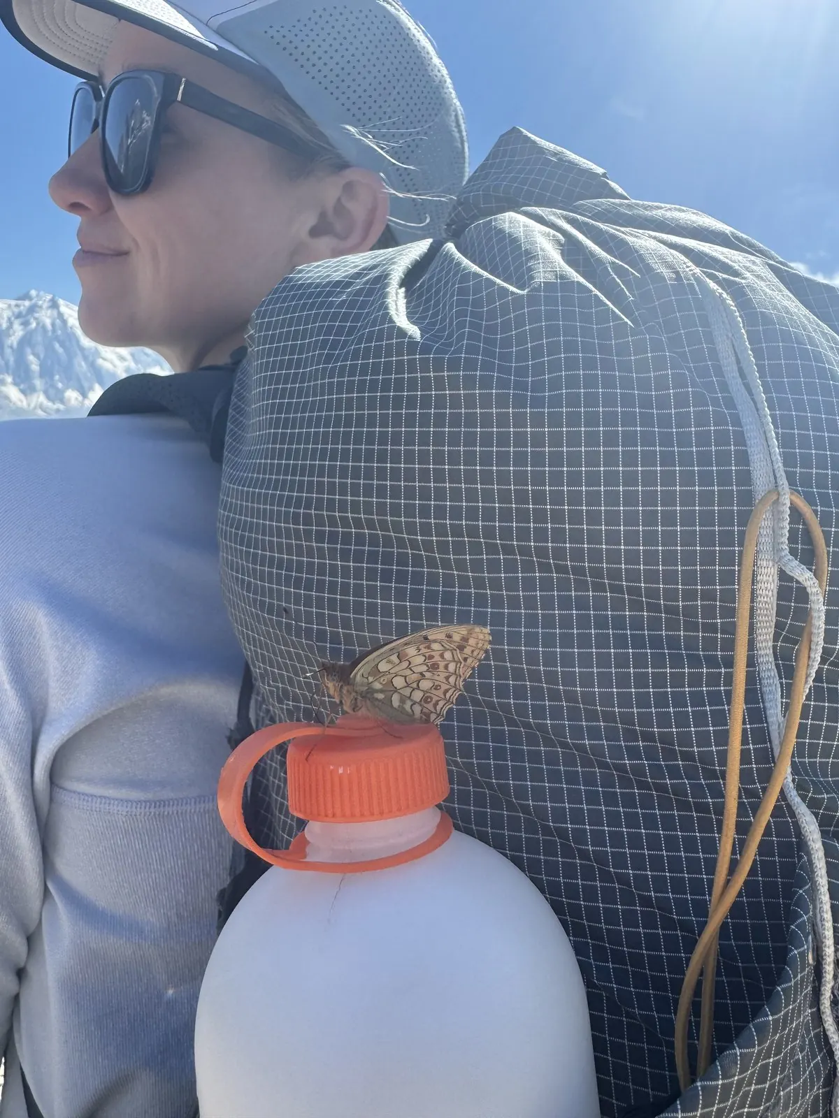 Day 6: Trient to Les Praz -- photo 6