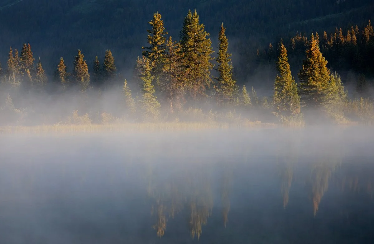 Golden light on pine trees reflected in a misty Canadian Rockies lake