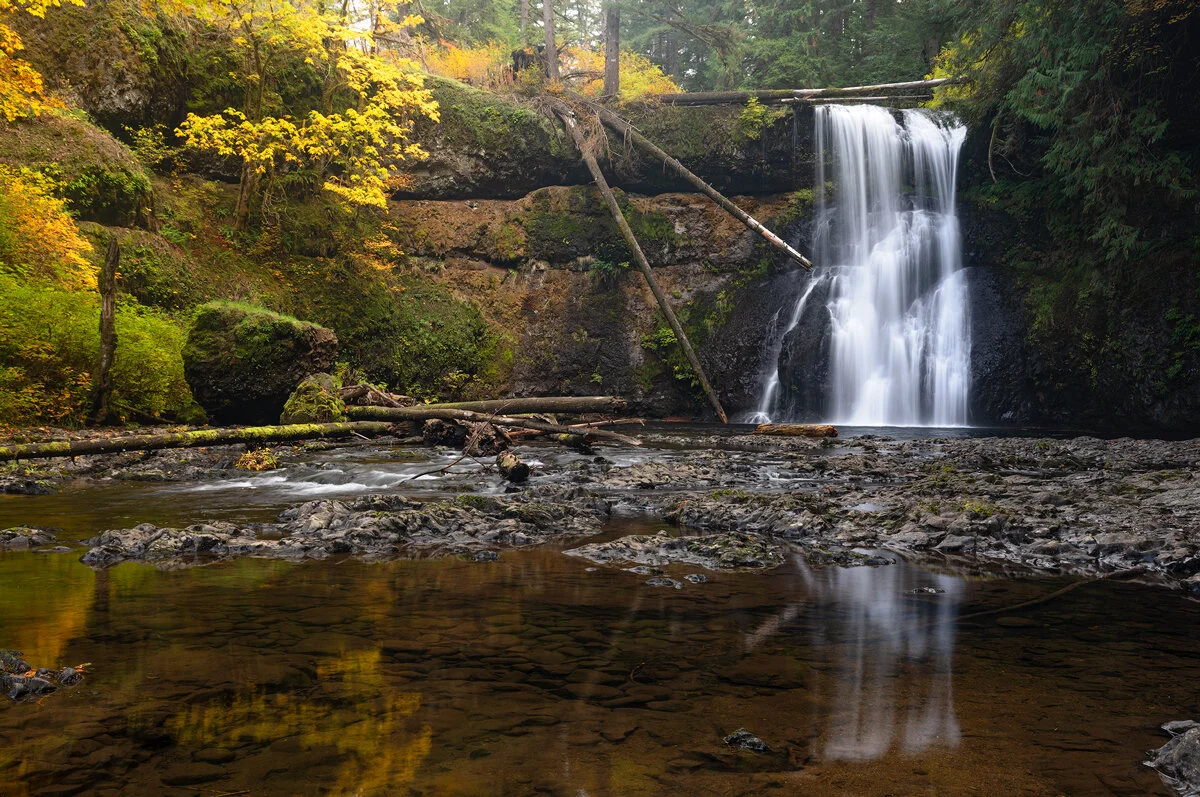 Upper North Falls plunging over a cliff into a rocky pool at Silver Falls State Park