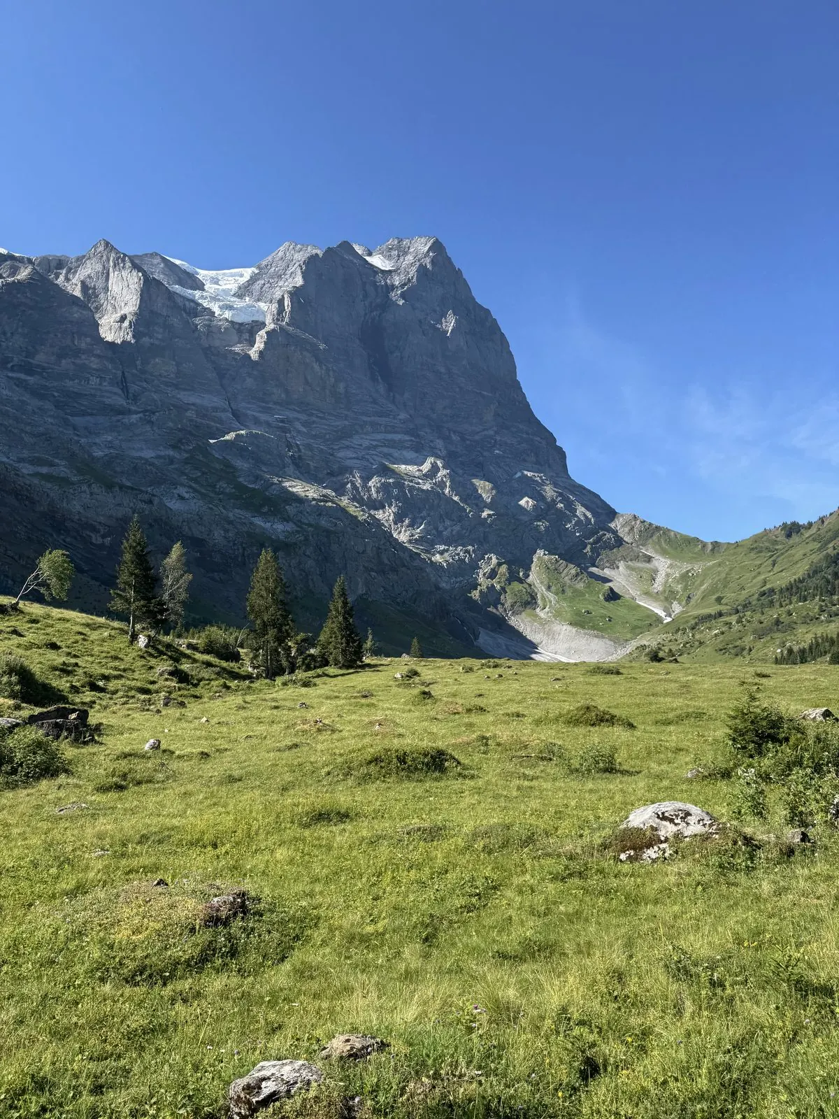 Day 1: Meiringen to Grindelwald -- photo 4
