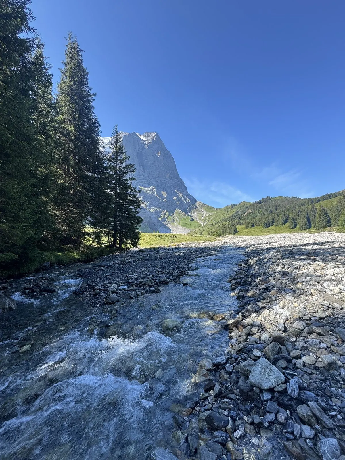 Day 1: Meiringen to Grindelwald -- photo 5