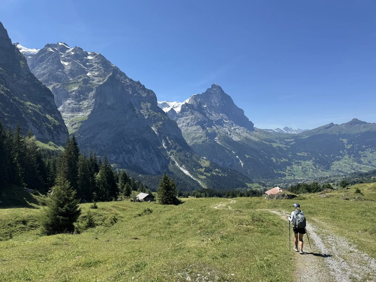 Day 1: Meiringen to Grindelwald -- photo 7