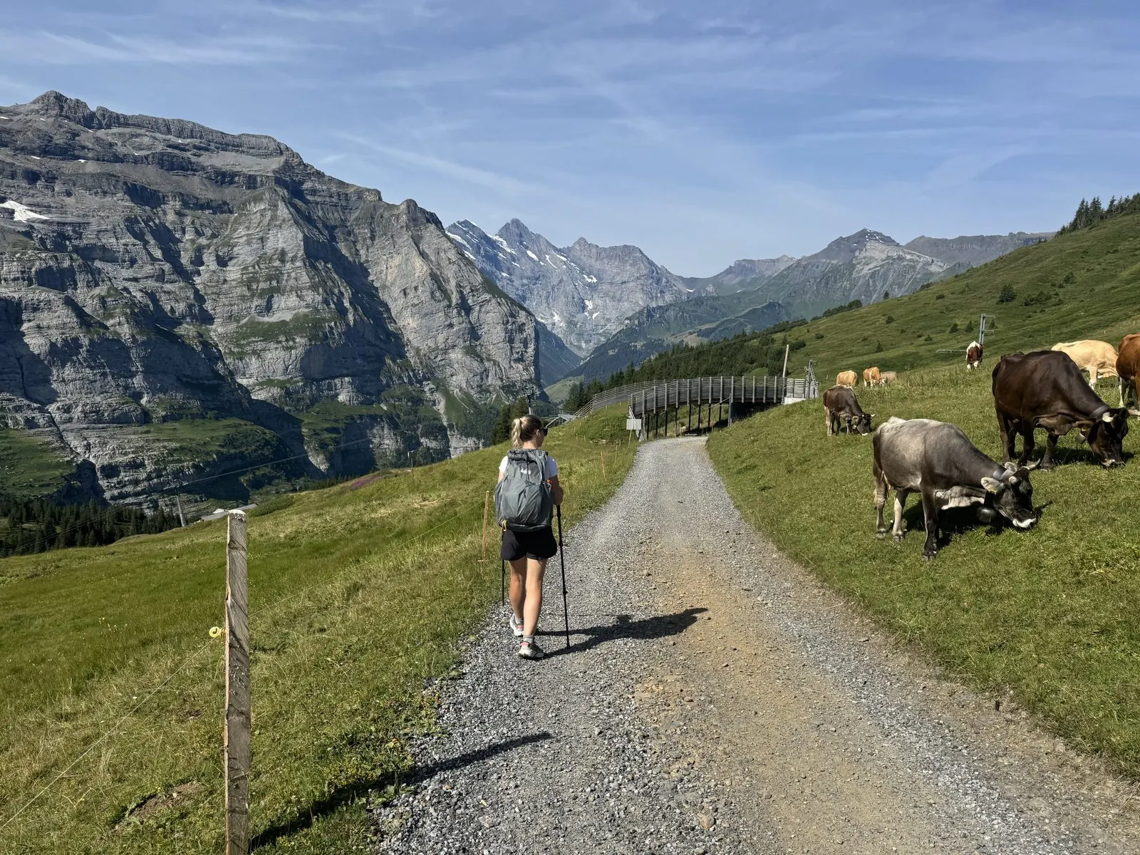 Day 2: Grindelwald to Wengen -- photo 12