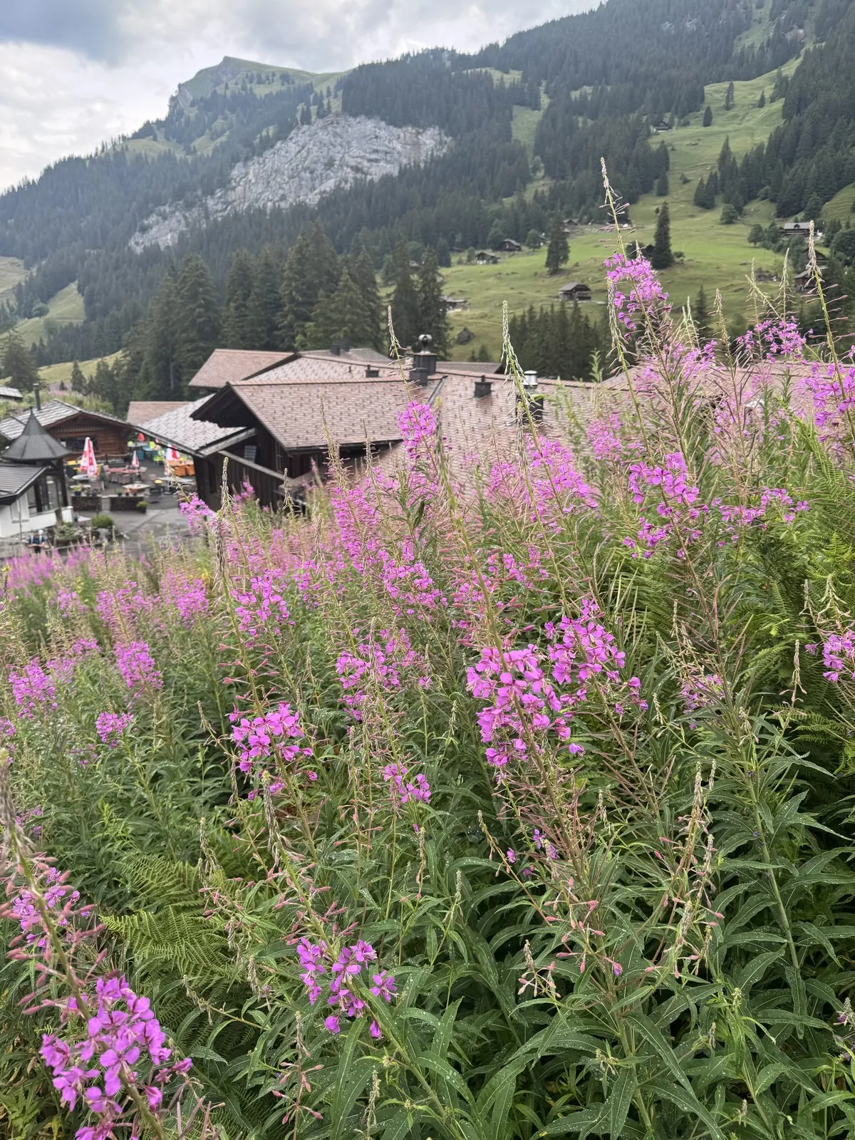 Day 4: Griesalp to Kandersteg -- photo 2