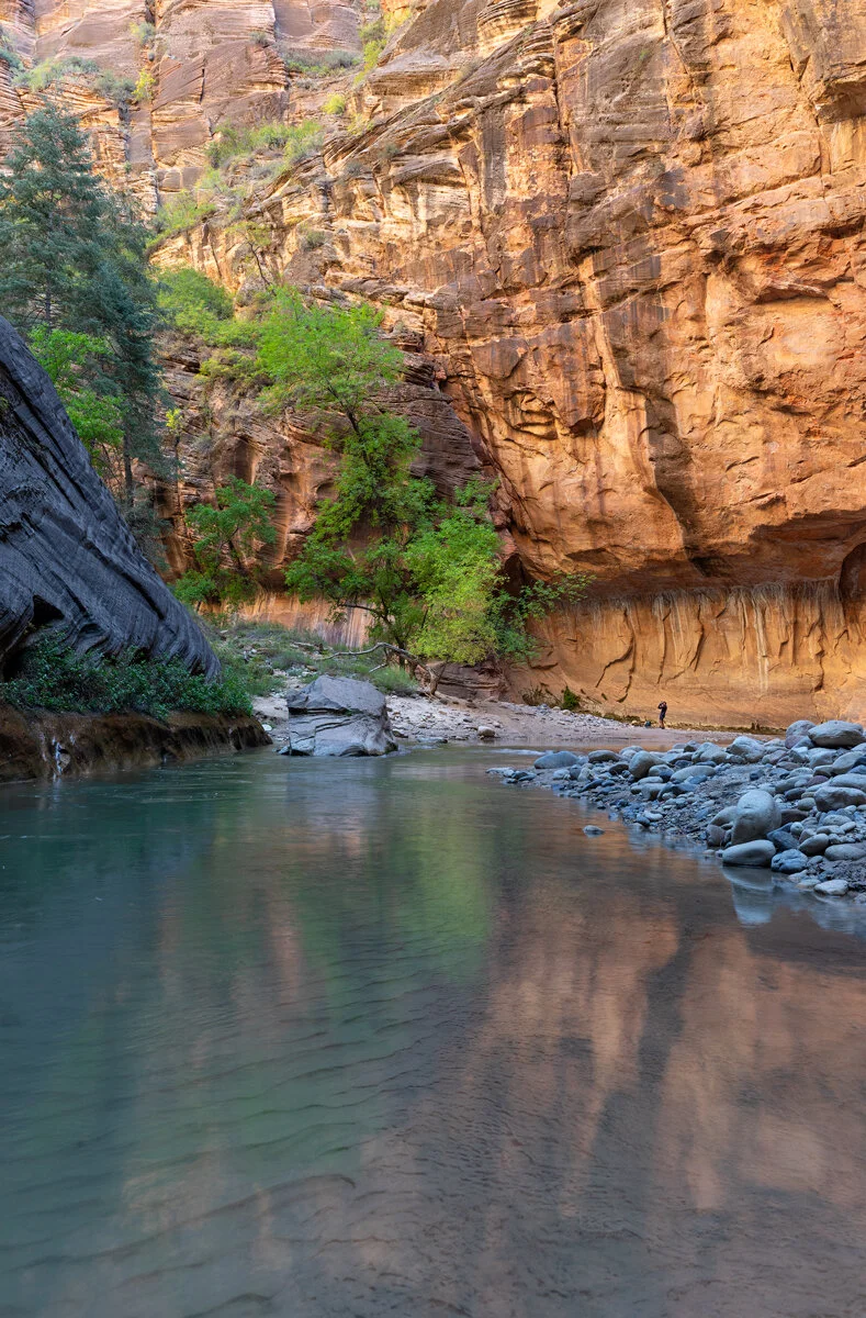 Zion Narrows canyon walls towering above the calm Virgin River